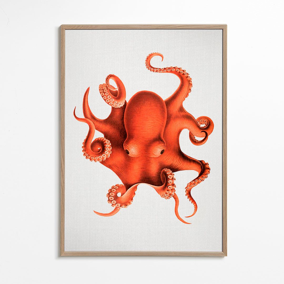 Watercolor Octopus