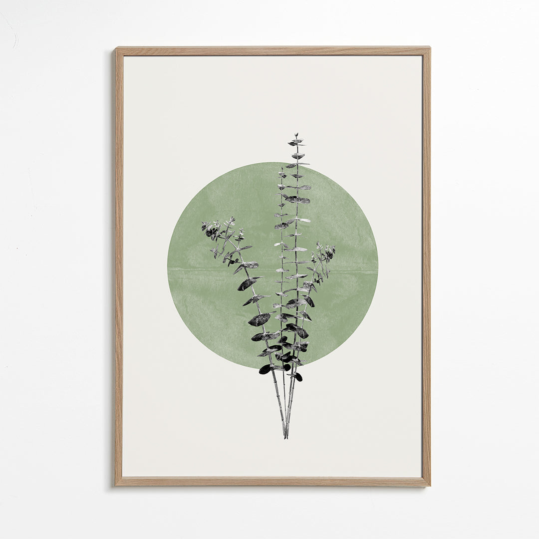 Eucalyptus and Green Moon - THE MIUUS STUDIO