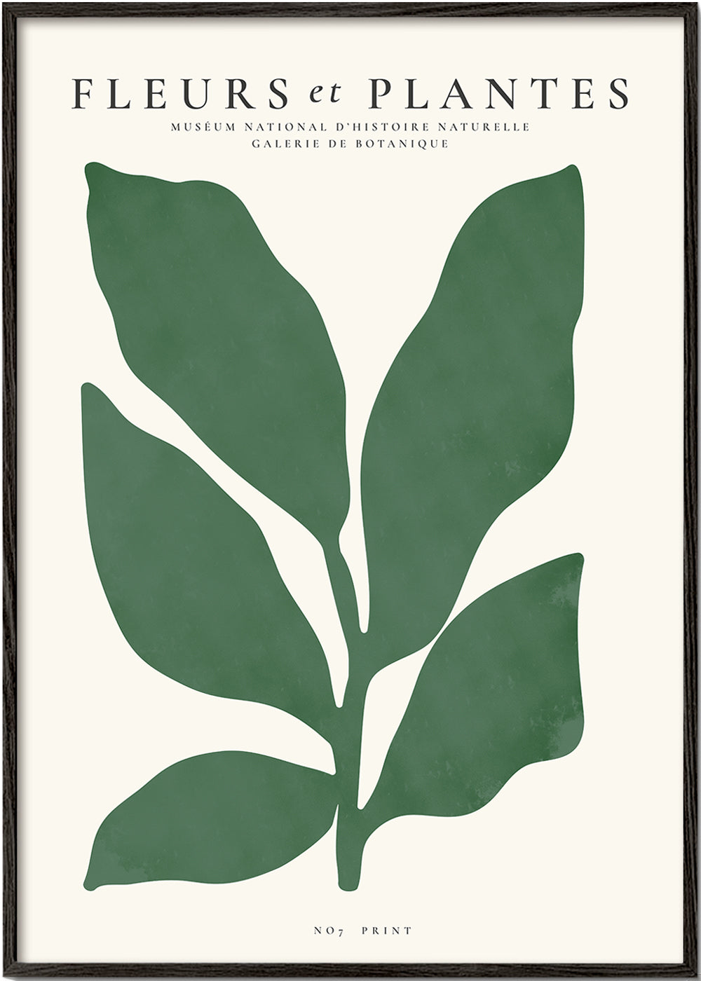 Botanical print with a single green leaf