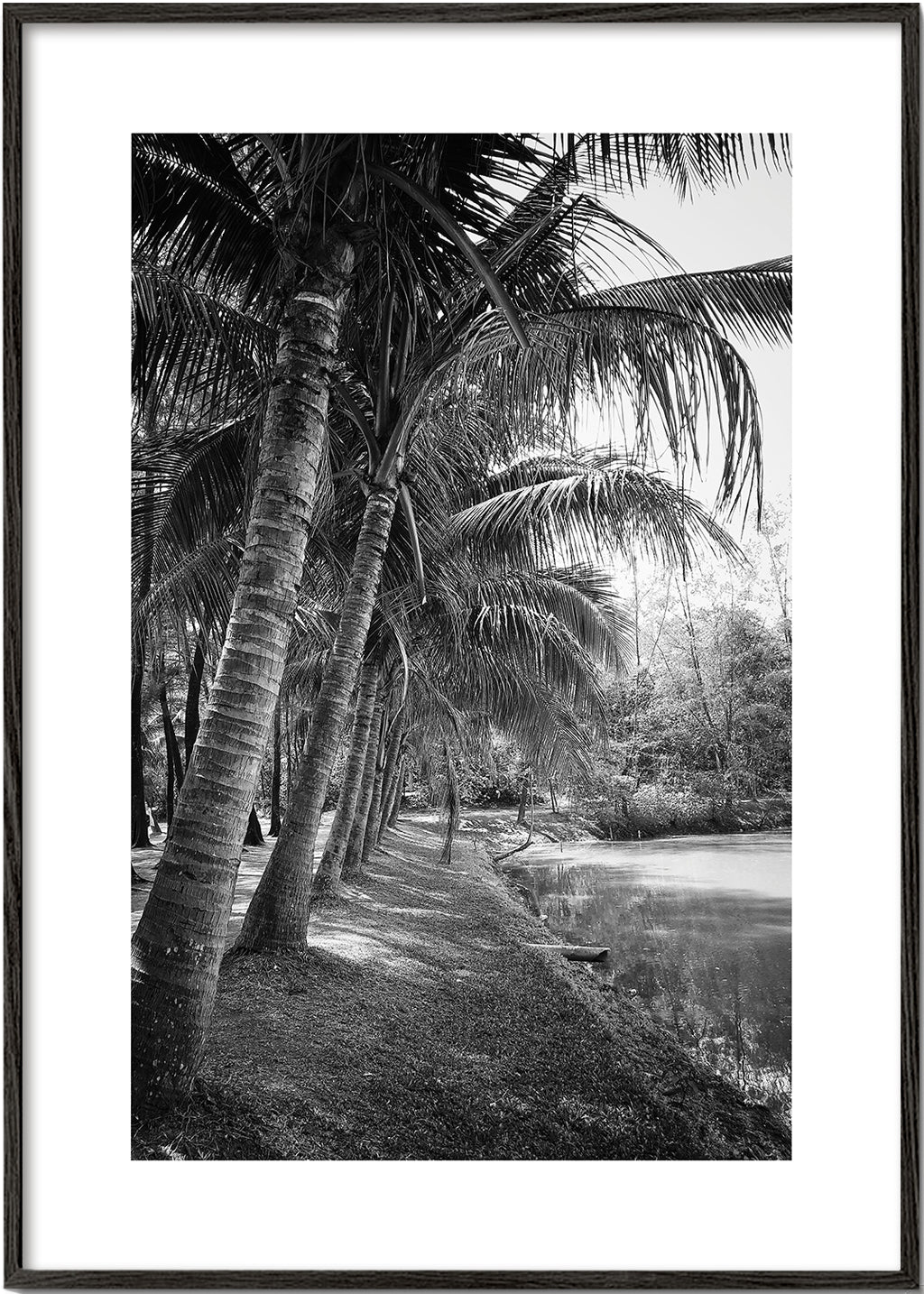 Vertical palm landscape photograph