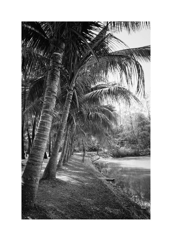 Vertical palm landscape photograph