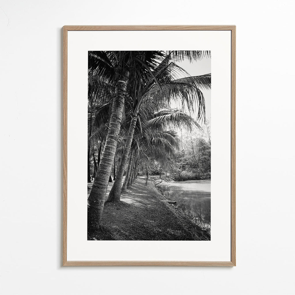 Vertical palm landscape photograph