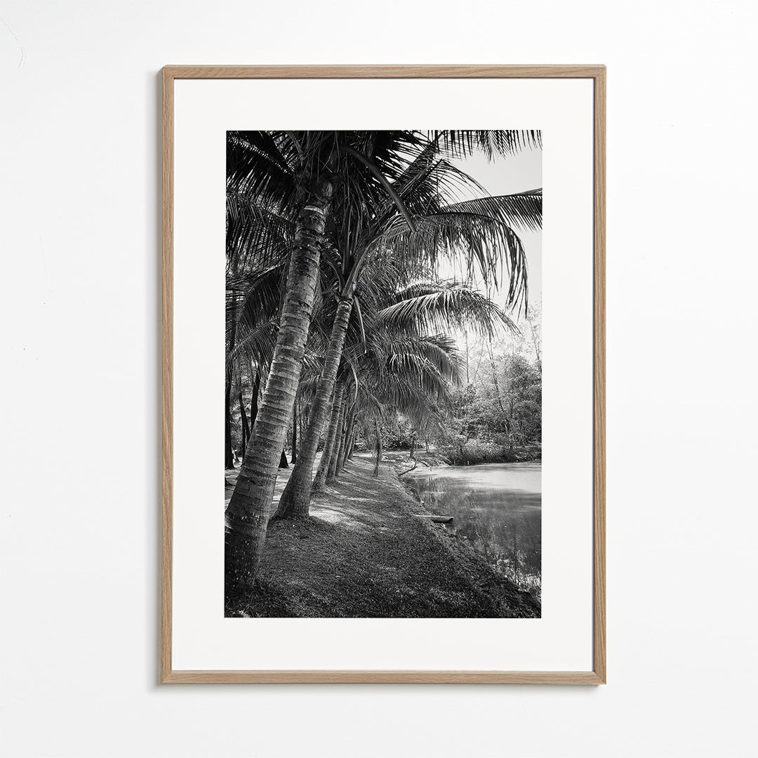Vertical palm landscape photograph