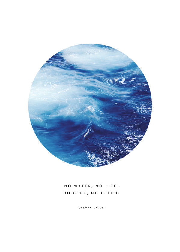 No water, no life