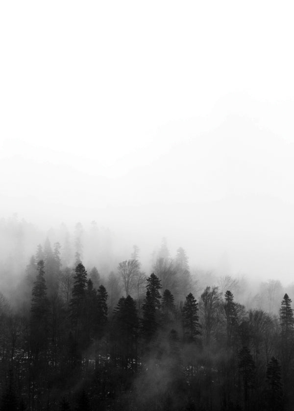 Landscape art misty forest
