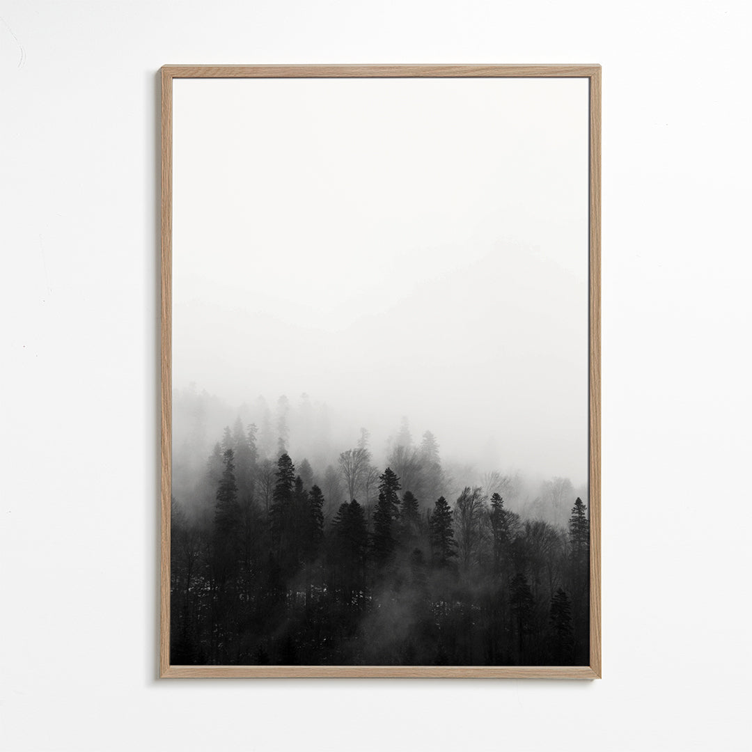 Landscape art misty forest