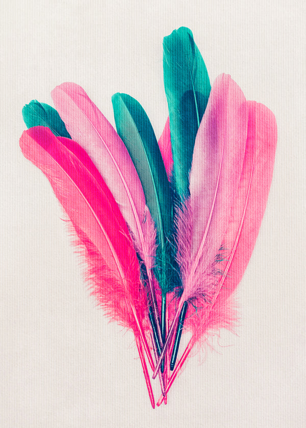 Feather