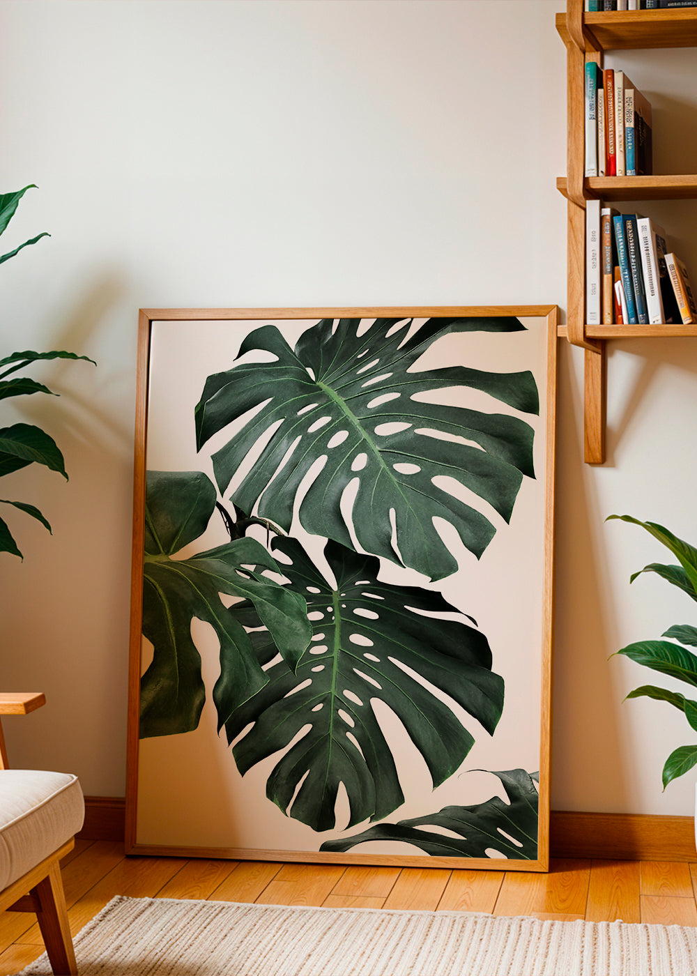 Monstera