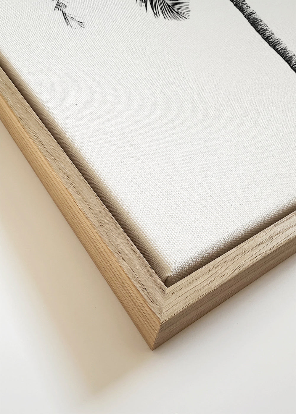 Palm tree by the beach