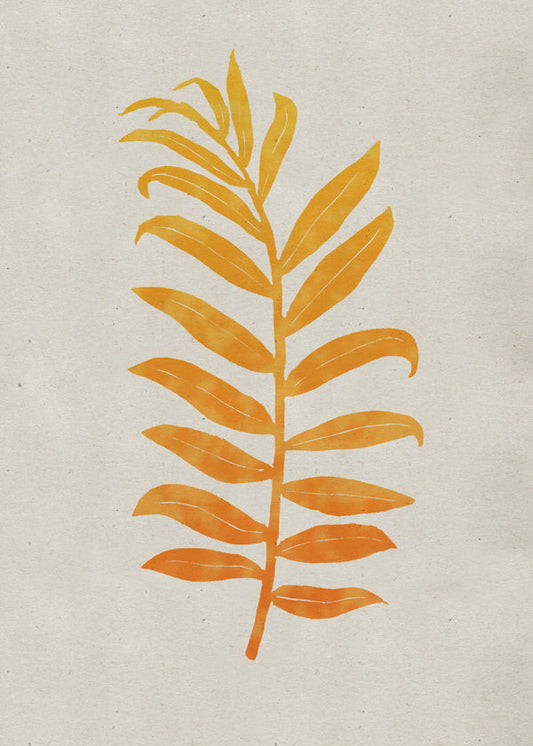 Areca Palmata Deepnight Moon