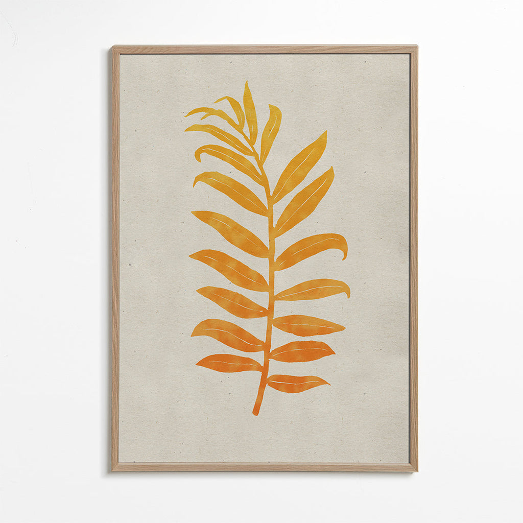 Areca Palmata Deepnight Moon