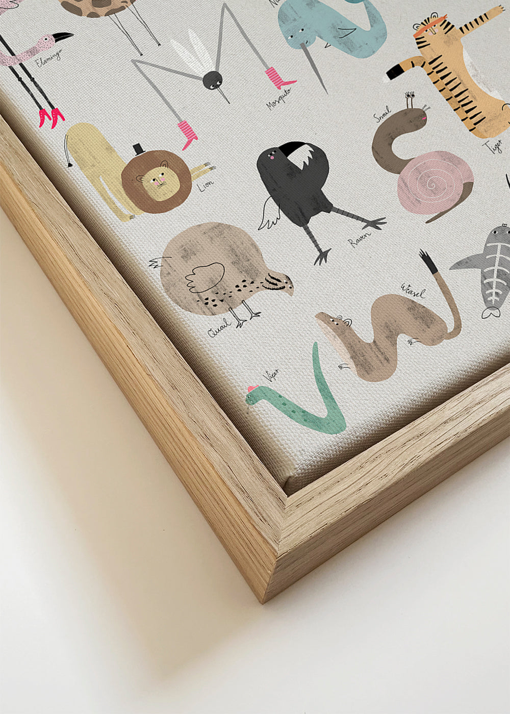 ABC Kids Komplett English