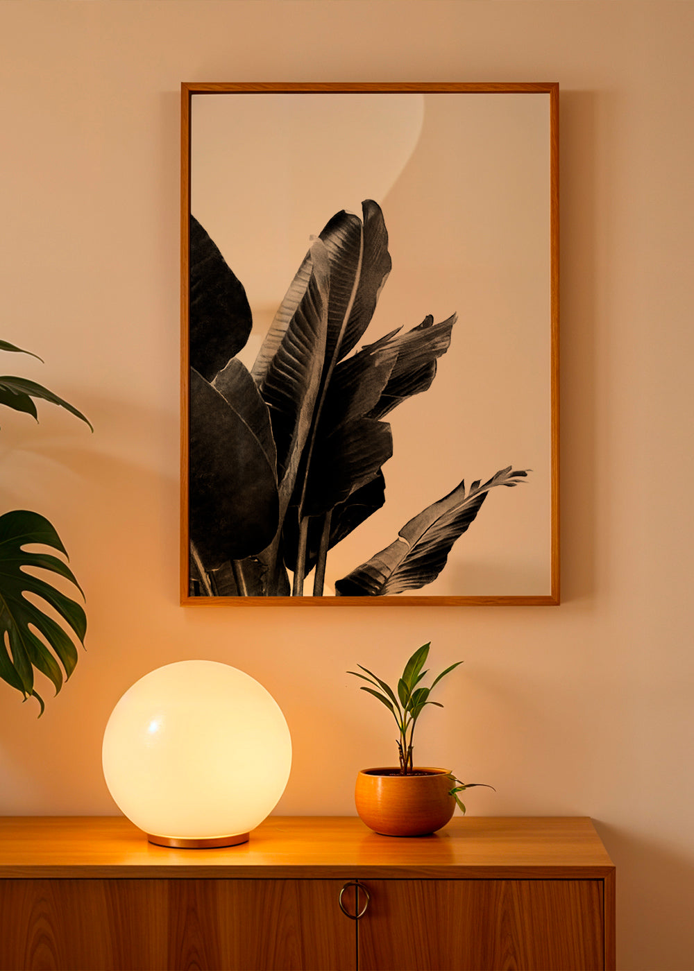 Bird of Paradise Plant Black and White 02