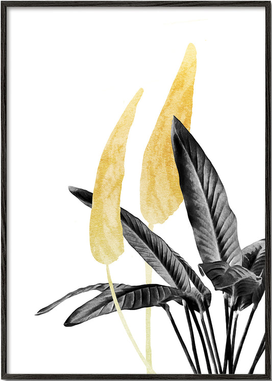 Bird of Paradise Plant Black, White and Gold 01