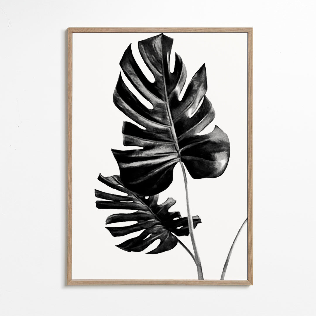 Monstera Black and White 01