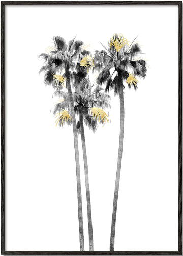 Palm Tree Black, White and Gold 03