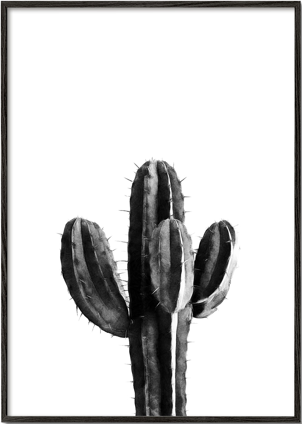 Cactus Black and White 03