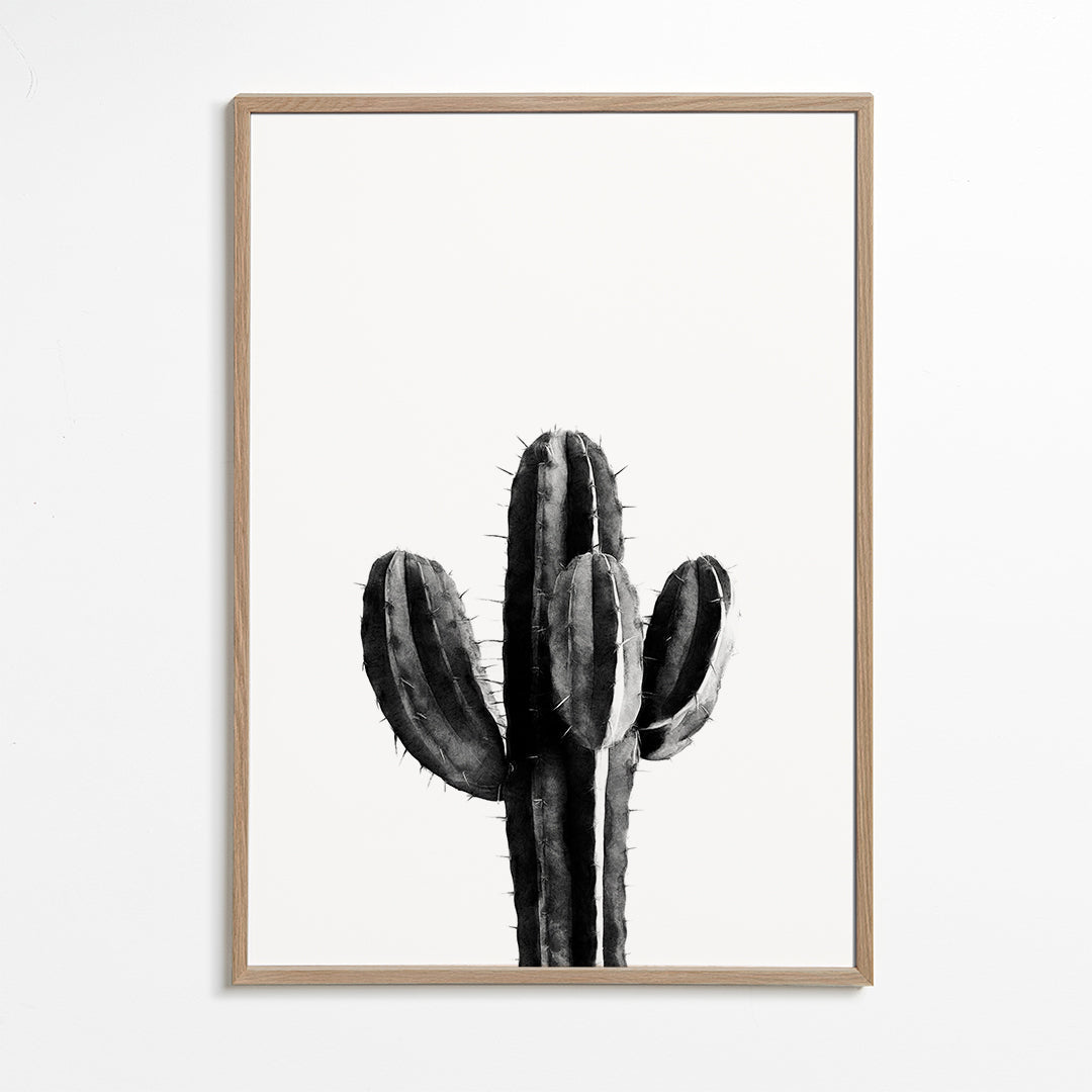 Cactus Black and White 03