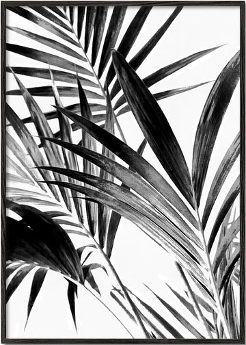 Palm Leaves Black and White 02