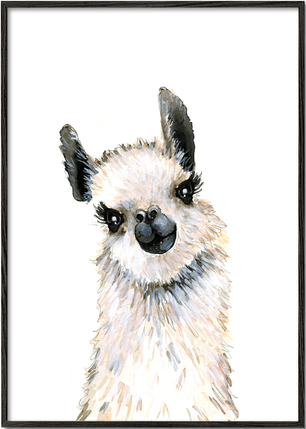 Llama