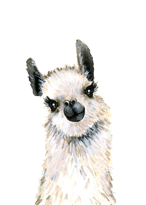 Llama