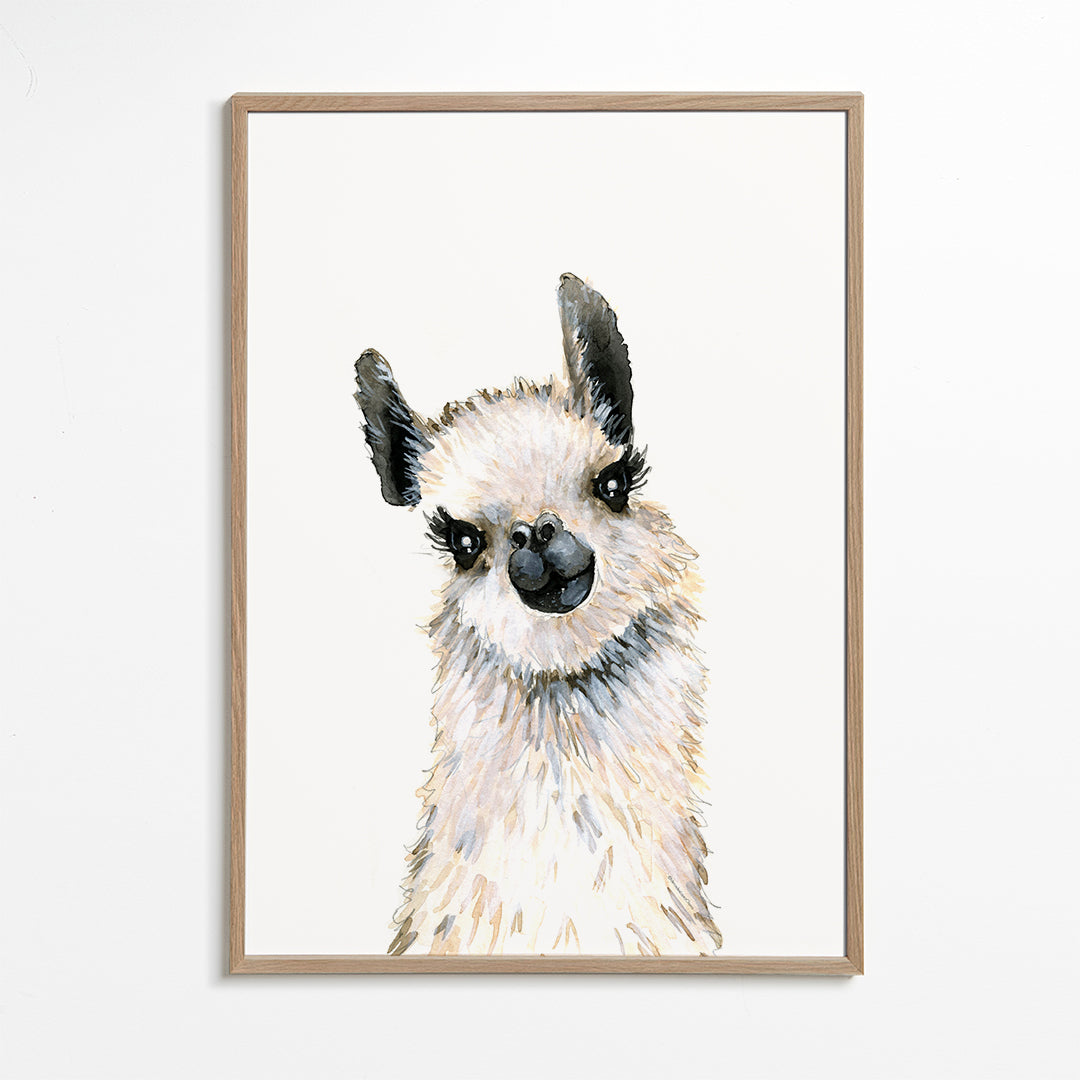 Llama