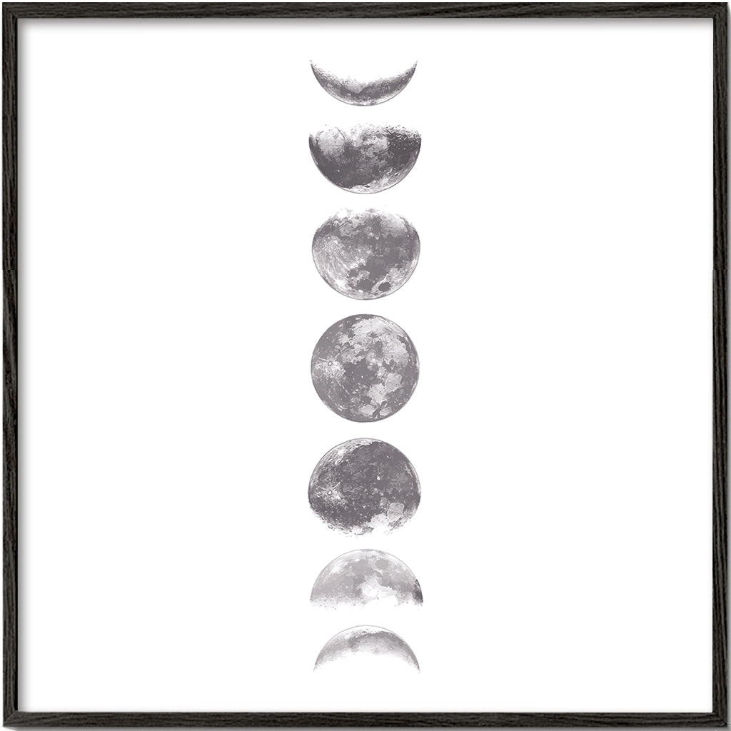 Phases of the moon