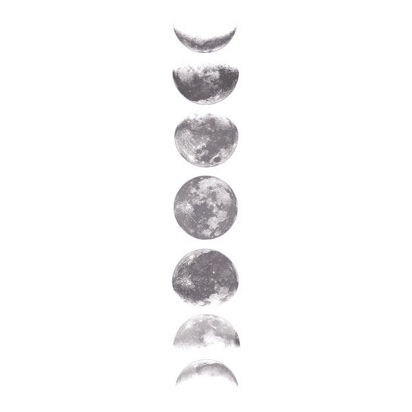 Phases of the moon