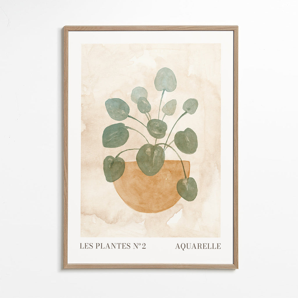 Les plantes Nº2