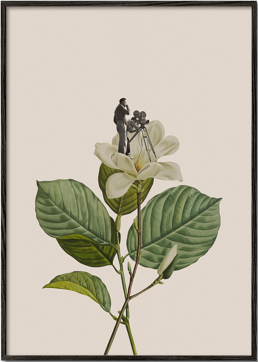 Botanical vintage cameraman