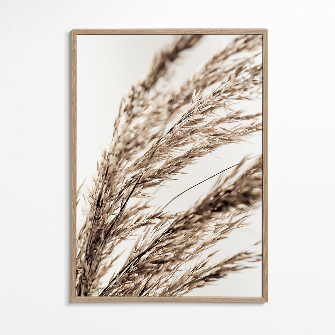 Grass 14