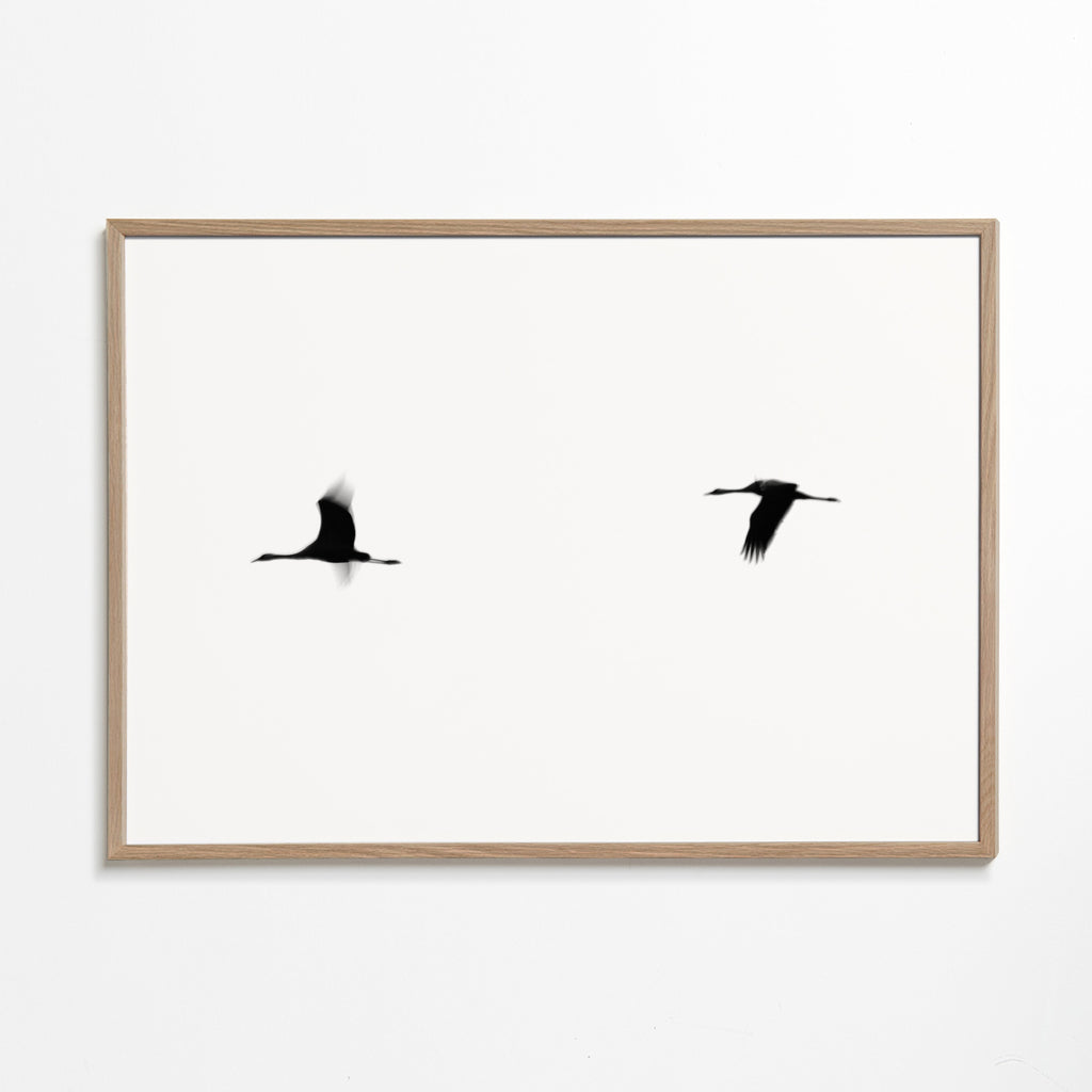 Crane(s) II