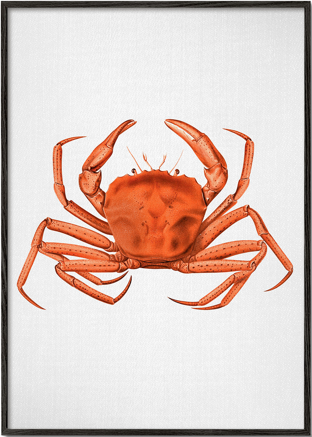 Watercolor Crab