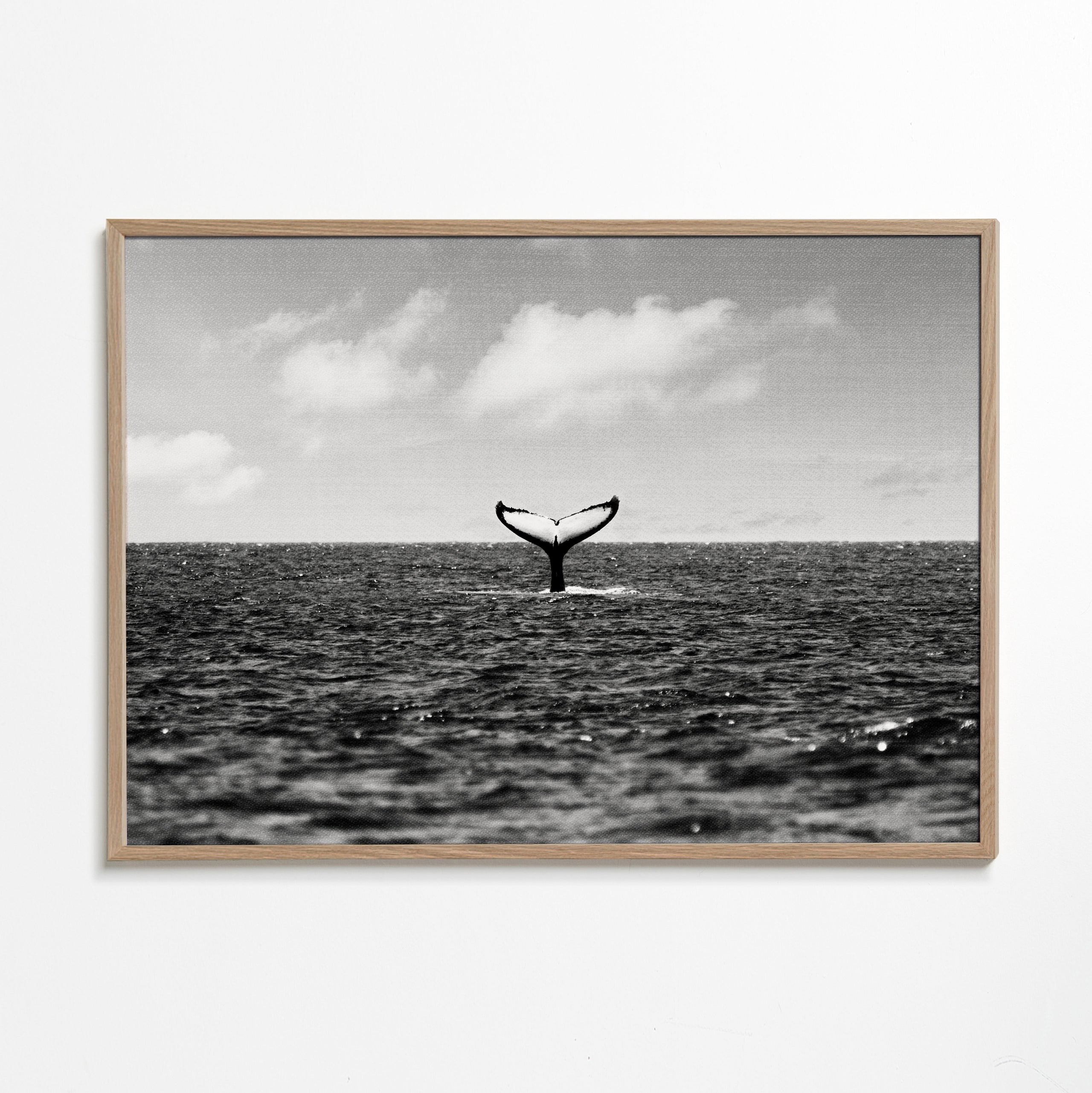 Whale Tail