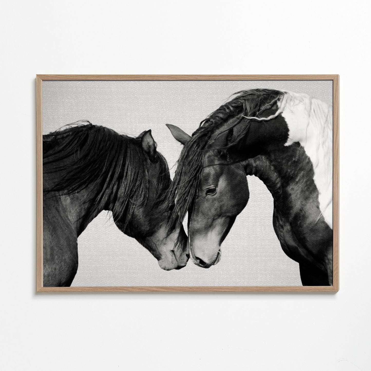 Horses - Black & White 4