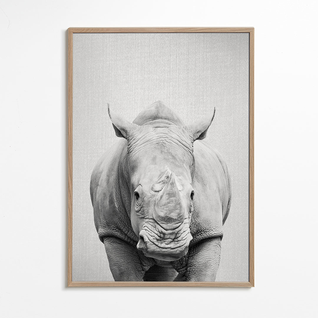 Rhino - Black & White