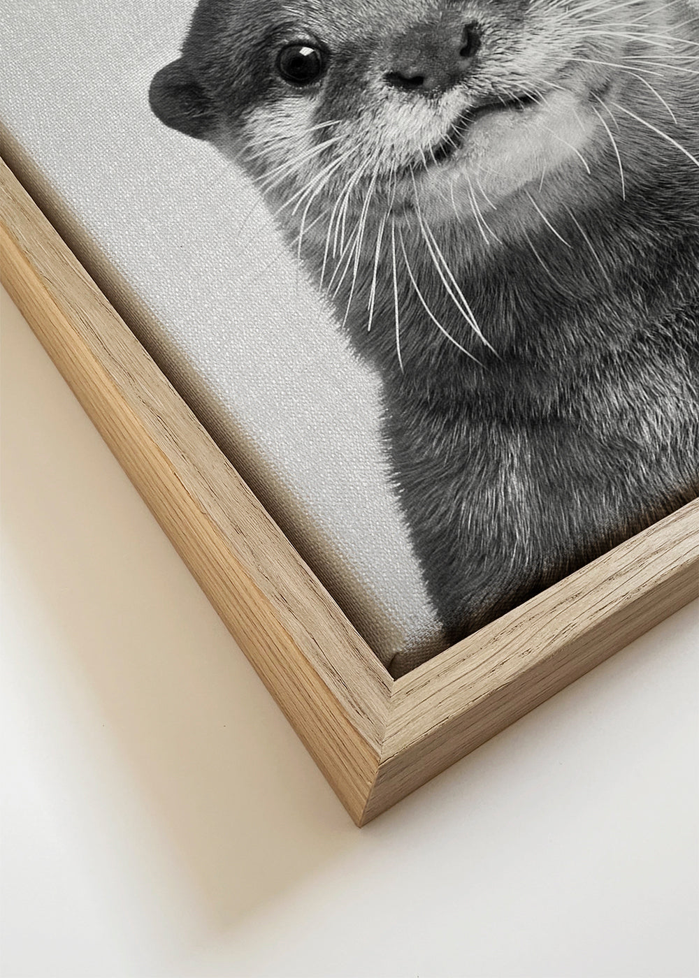 Otter - Black & White