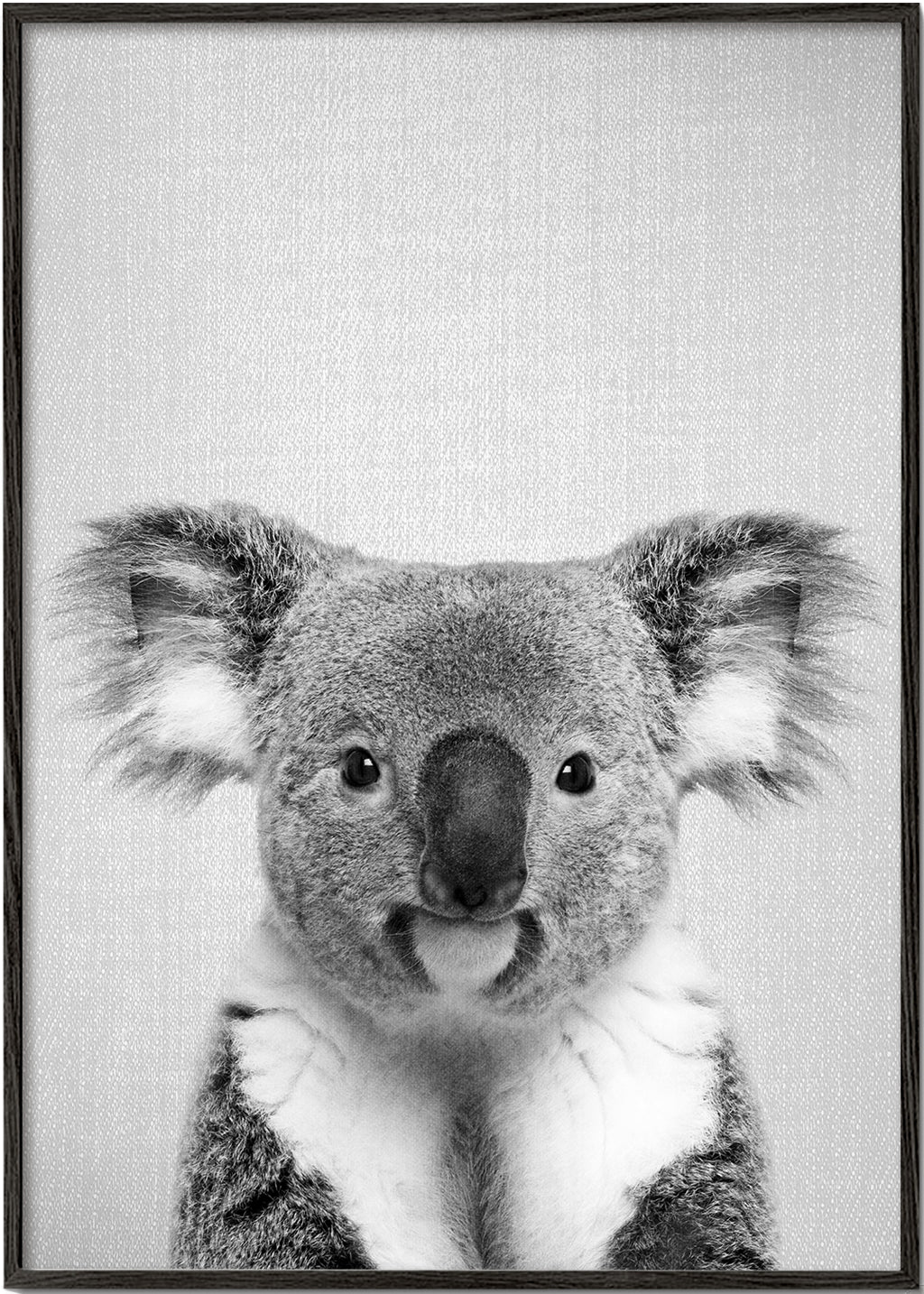 Koala - Black & White