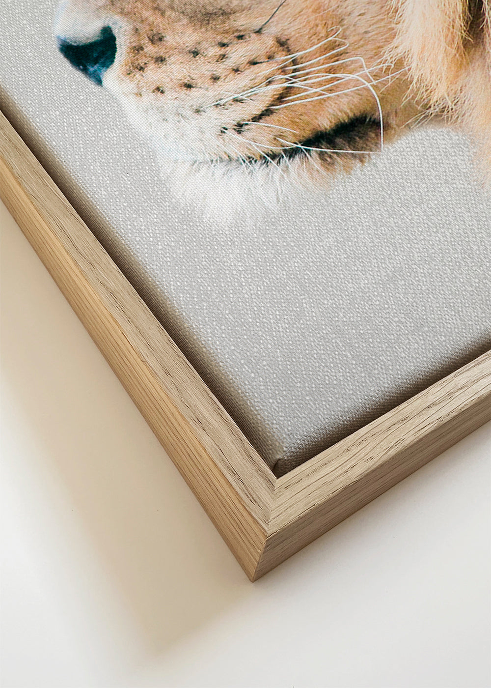 Lion Portrait