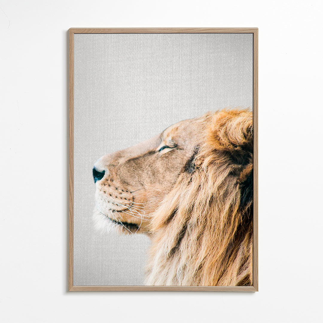 Lion Portrait