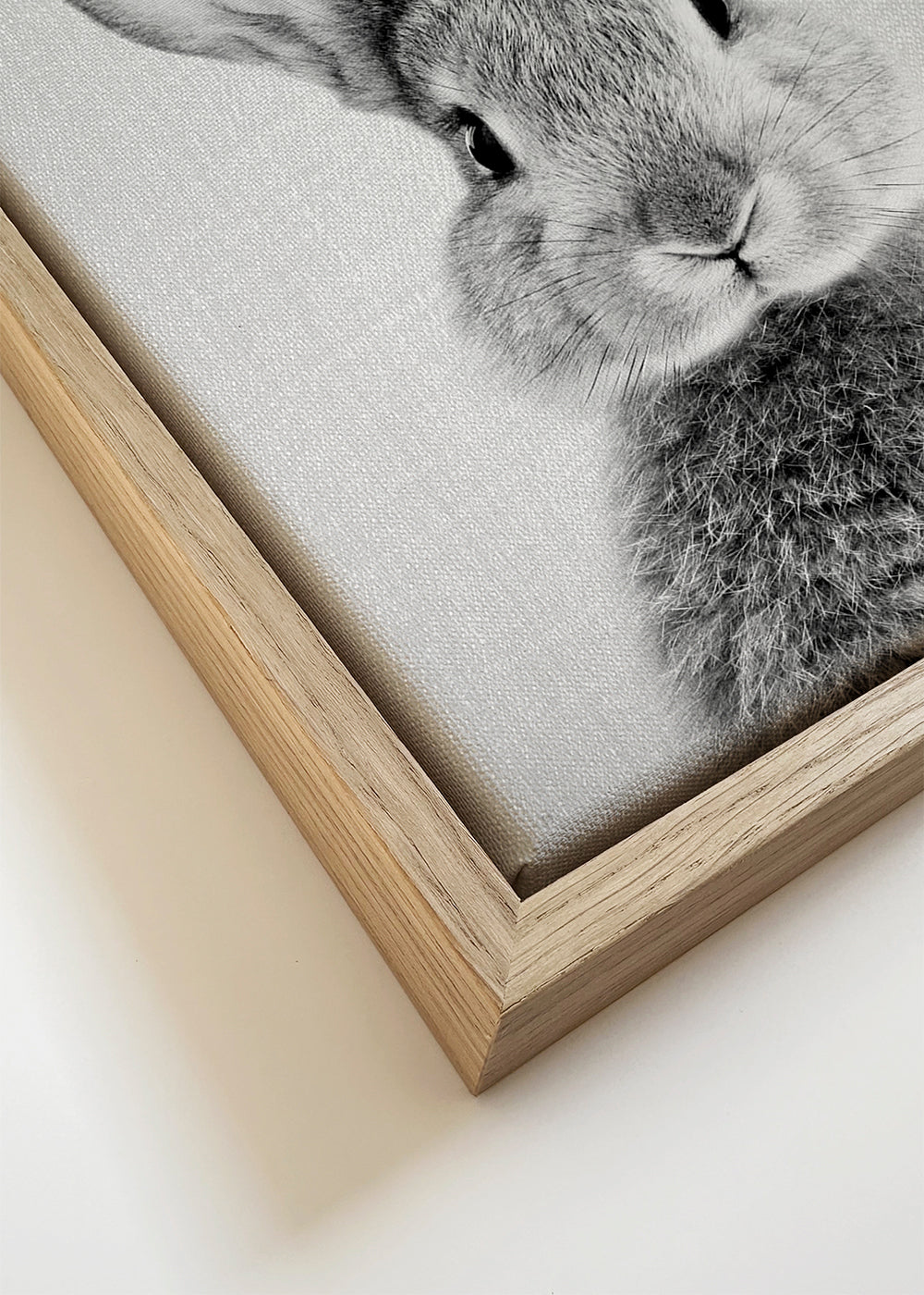 Rabbit - Black & White