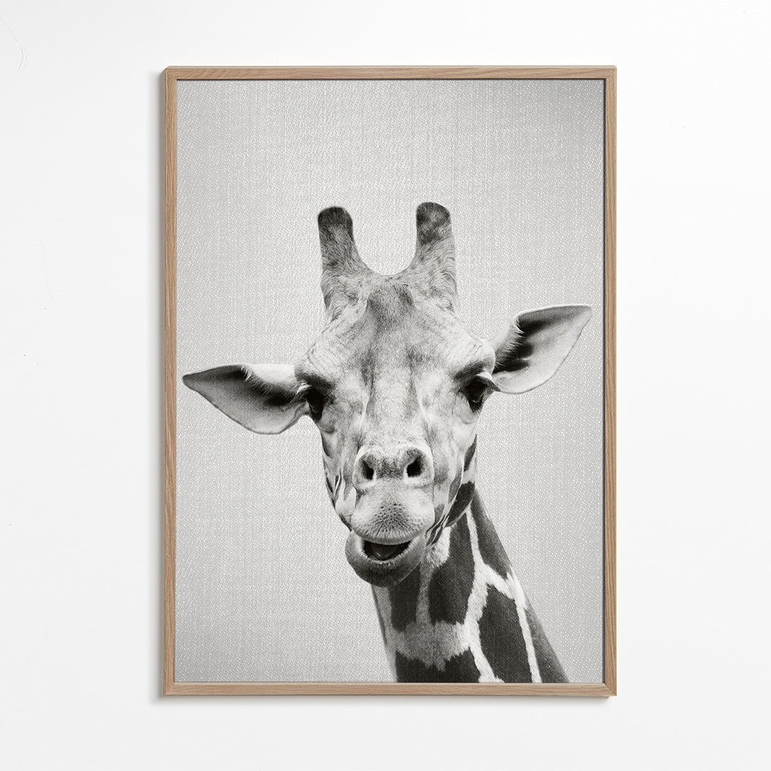 Giraffe - Black & White