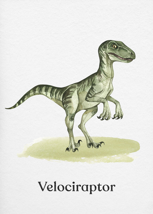 Velociraptor