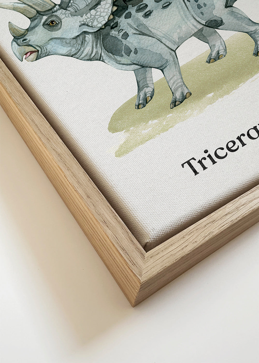 Artwork Triceratops watercolor illustration