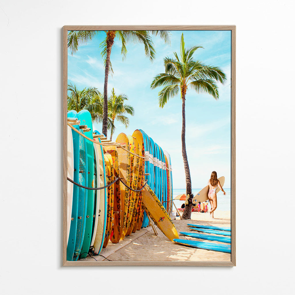 Choose Your Surfboard 2