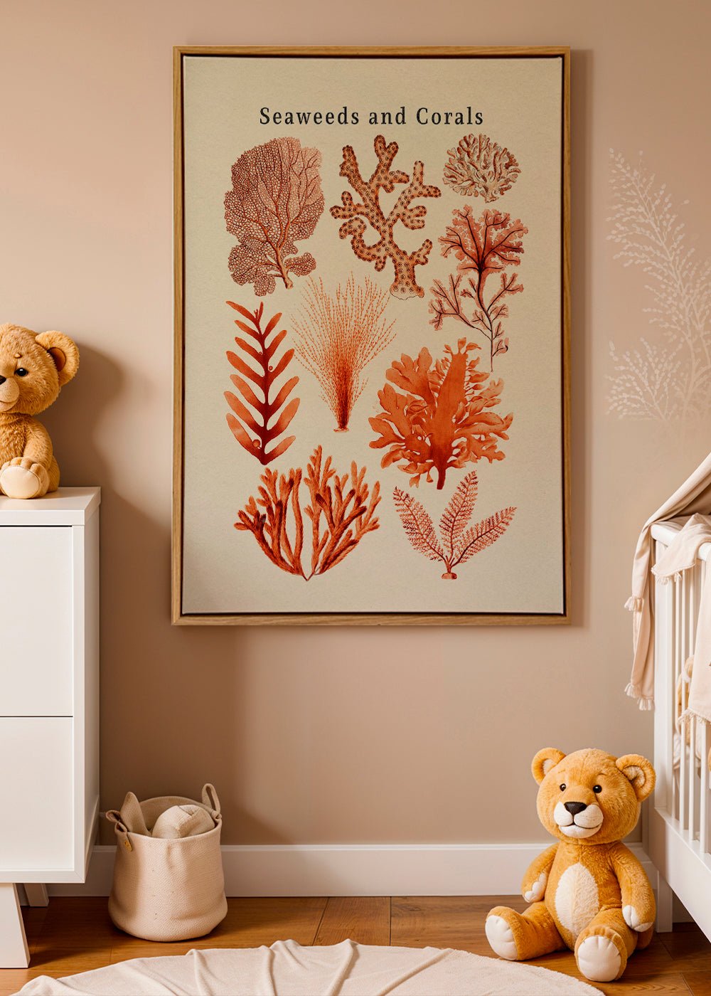 Seaweed & Corals Collection