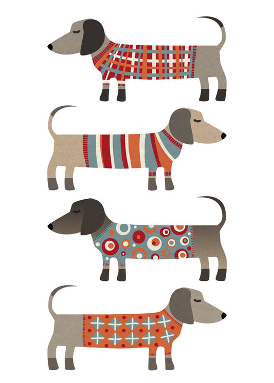 Sausage Dogs in Sweaters