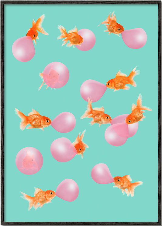 Bubblegum Goldfish