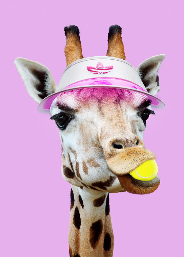 Tennis Giraffe
