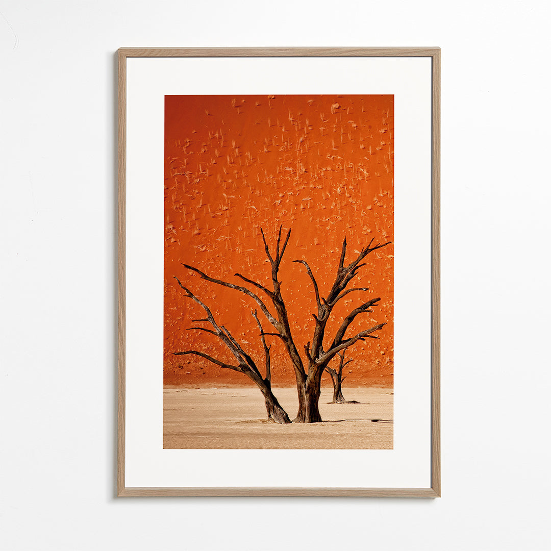 The older 2 - Mathilde Guillemot